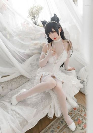 陈少平邱淑琴免费阅读小说_HD高清视频播放