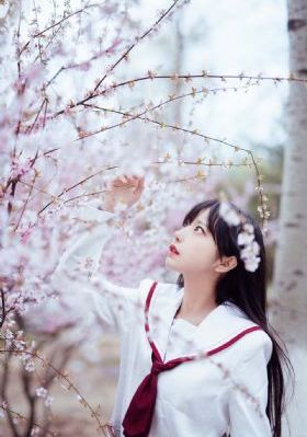 免费观看v片视频8x_BD韩语全集免费观看
